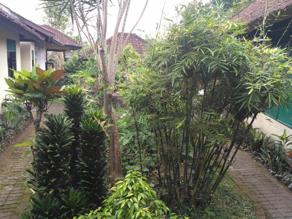 Dhangin Taman Karangasem Exterior foto